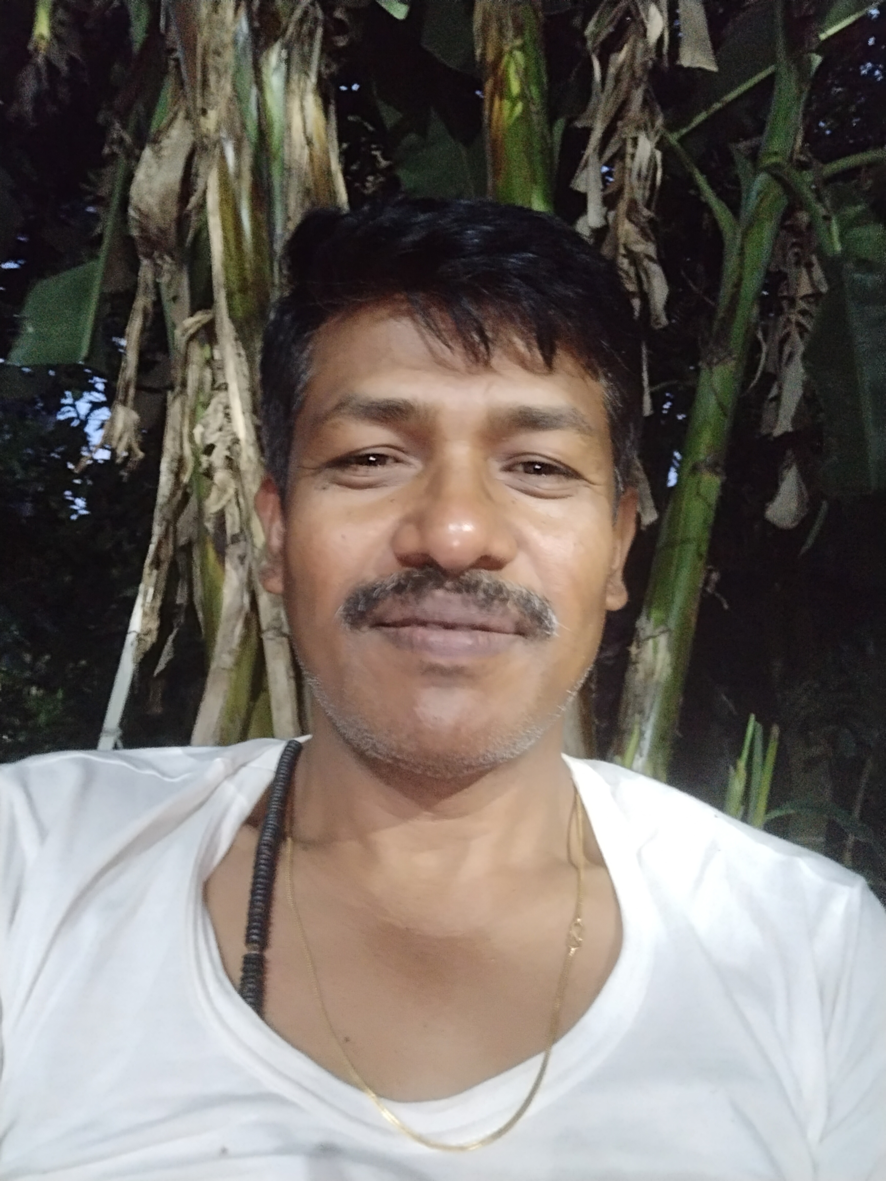 Mangal dhali